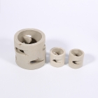 Ceramic Random Packing - Ceramic Pall Ring